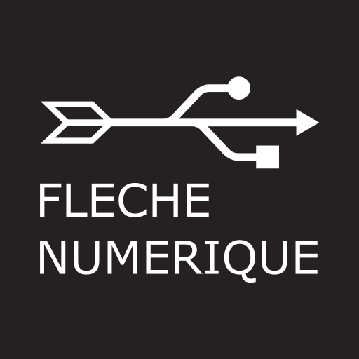 Logo de Flèche Numérique